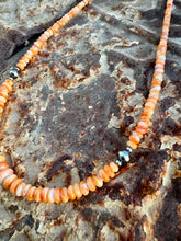 Load image into Gallery viewer, Graduated Orange Spiny Oyster 4MM - 8MM
