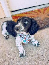Load image into Gallery viewer, Dog Bandana