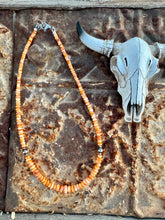 Load image into Gallery viewer, Graduated Orange Spiny Oyster 4MM - 8MM
