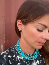 Load image into Gallery viewer, Black Onyx Faceted Stud Earrings

