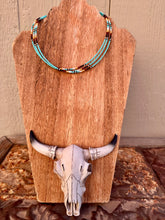 Load image into Gallery viewer, Goin South Seed Bead Choker
