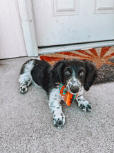 Load image into Gallery viewer, Dog Bandana
