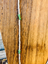 Load image into Gallery viewer, Oyster Shell Necklace With Green Turquoise Nuggets
